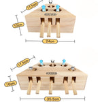 Cat Interactive Toy