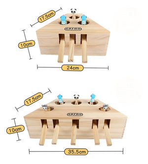 Cat Interactive Toy