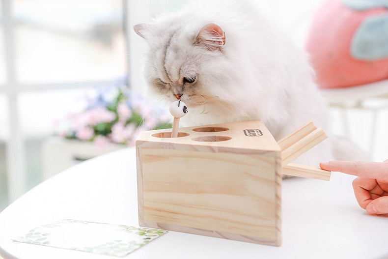Cat Interactive Toy