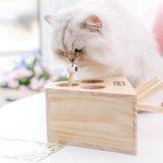 Cat Interactive Toy