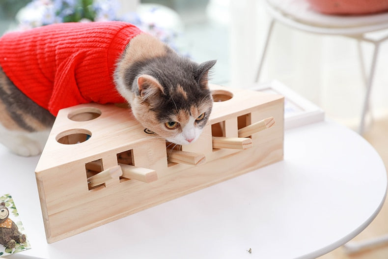 Cat Interactive Toy