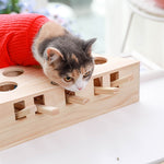 Cat Interactive Toy
