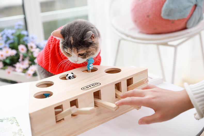Cat Interactive Toy