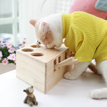 Cat Interactive Toy