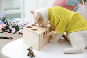 Cat Interactive Toy