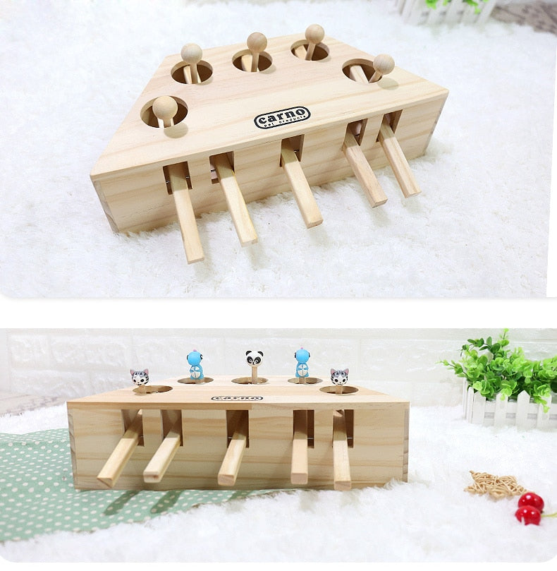 Cat Interactive Toy