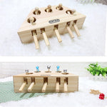 Cat Interactive Toy