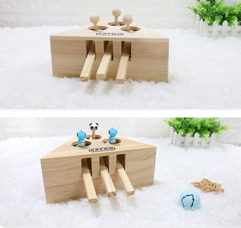 Cat Interactive Toy