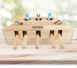 Cat Interactive Toy