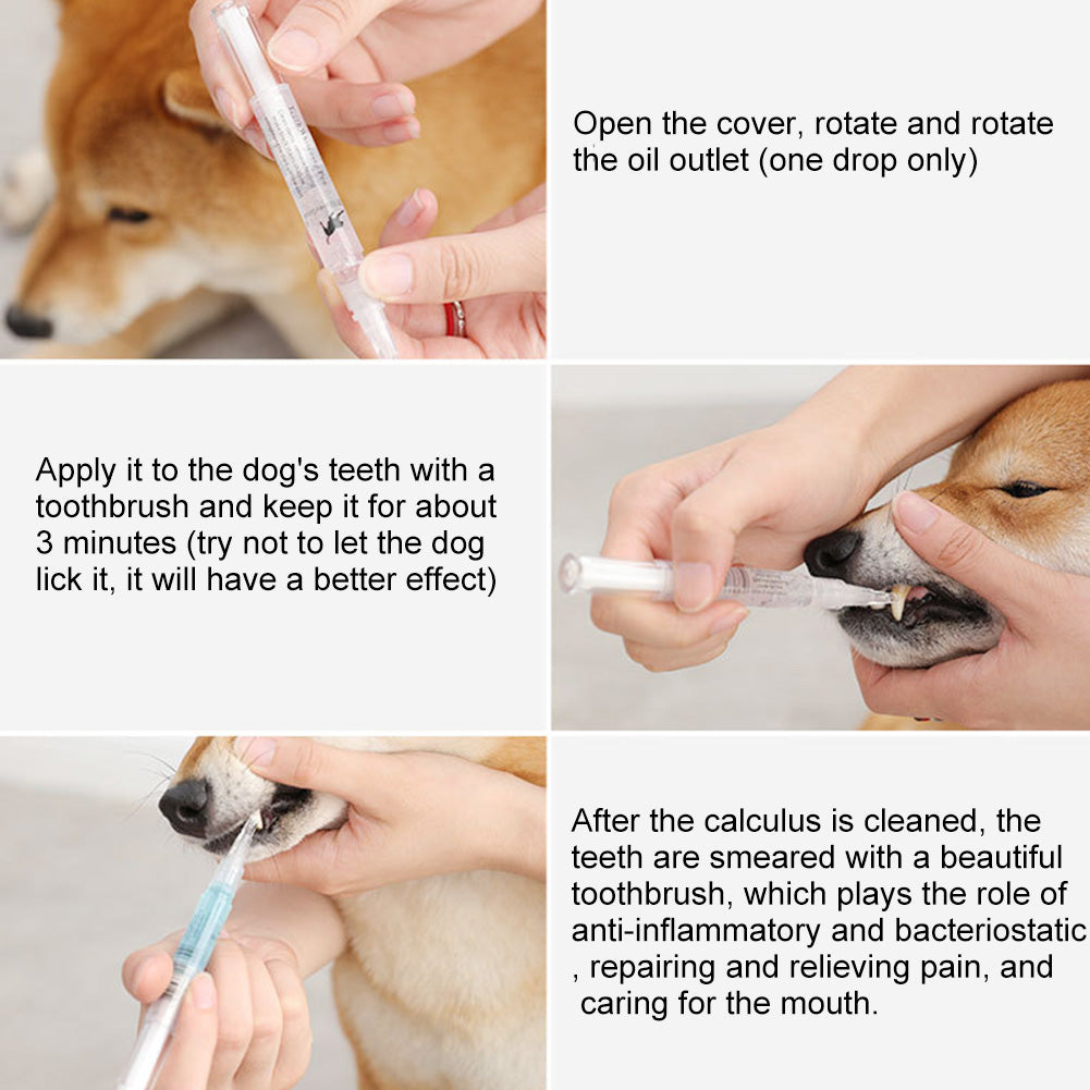 Pet Teeth Cleaning