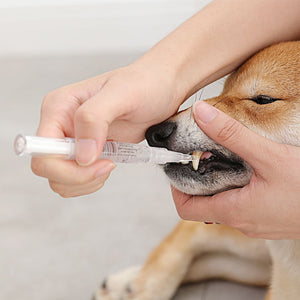 Pet Teeth Cleaning