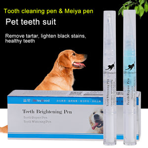 Pet Teeth Cleaning