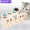 Cat Interactive Toy