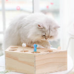 Cat Interactive Toy