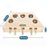 Cat Interactive Toy