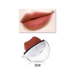 Red Lipstick Waterproof Lipstick